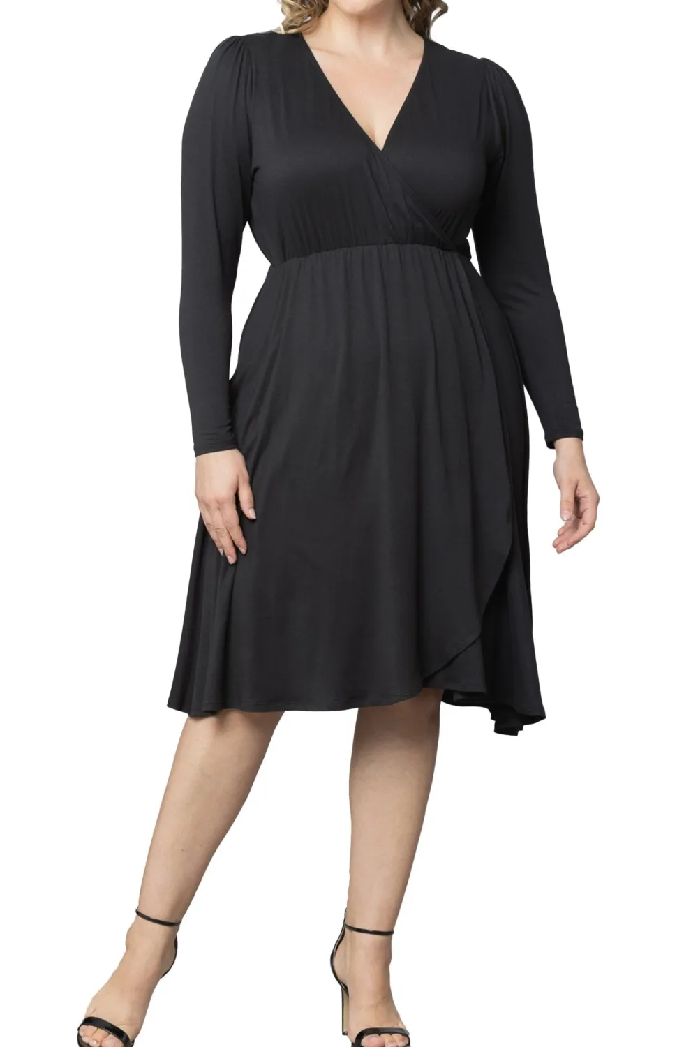 Aster Faux Wrap Dress - Plus