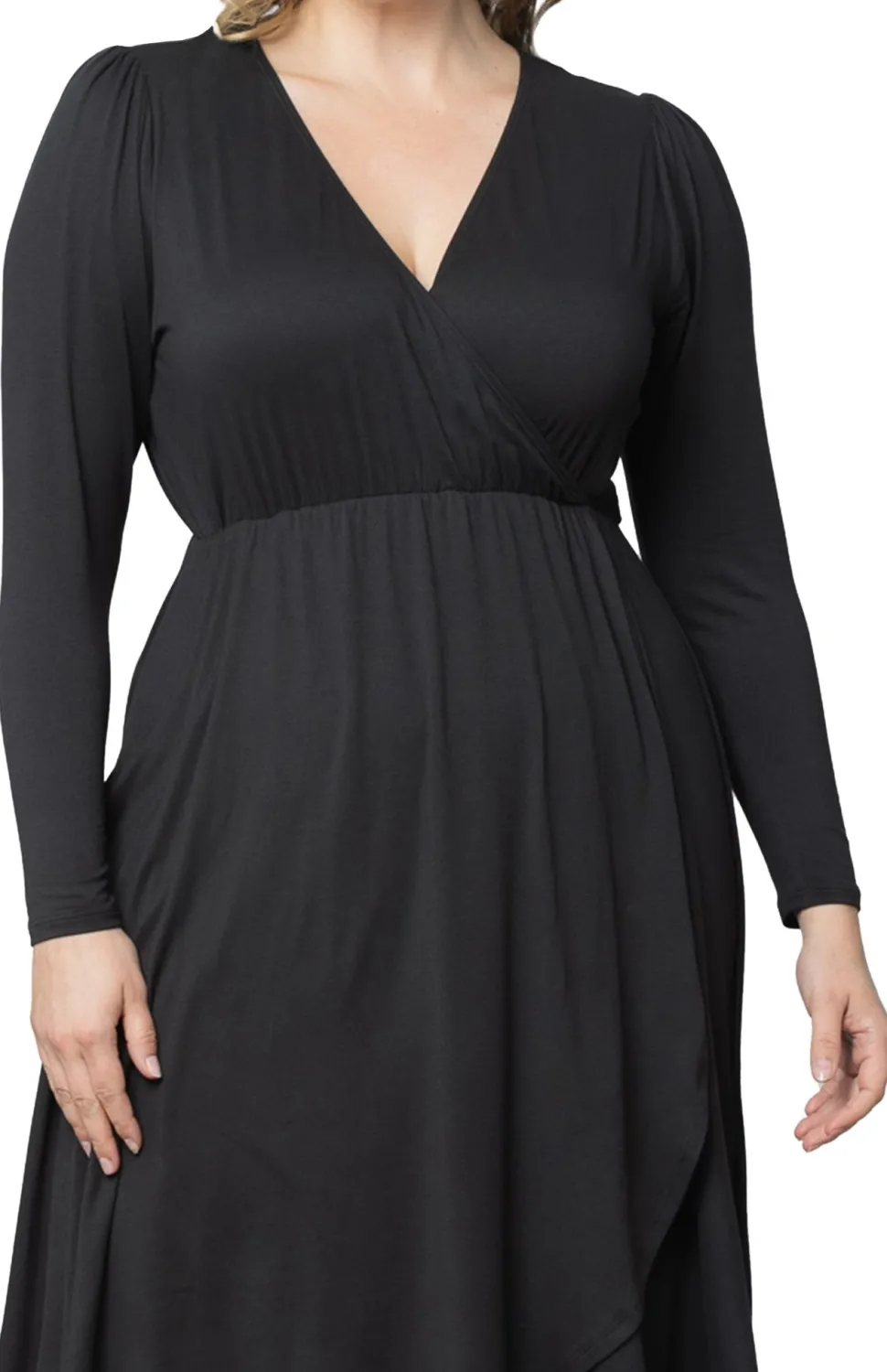 Aster Faux Wrap Dress - Plus