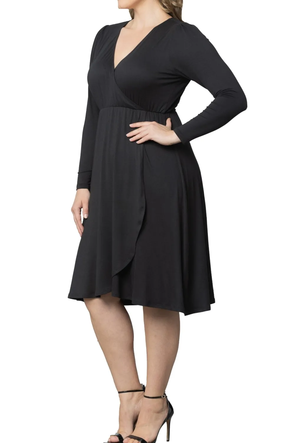 Aster Faux Wrap Dress - Plus